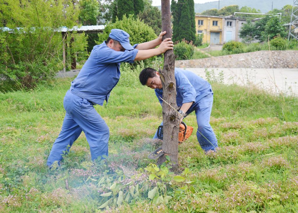 雷鸣科化先进风采录之六：苦练本领乐奉献爱岗敬业传3t0wqa2t0dm.jpg