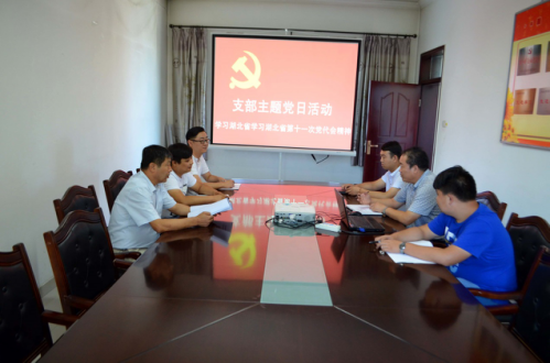 开展学习湖北省第十一次党代会精神主题党日活动ewpuebxipya.png