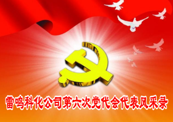 雷鸣科化公司第六次党代会专栏之一：党代表风采录（dvfjovn1iyt.png