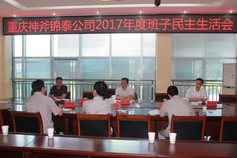 陈纪明对锦泰公司领导班子民主生活会进行督导rya5lejgdav.jpg